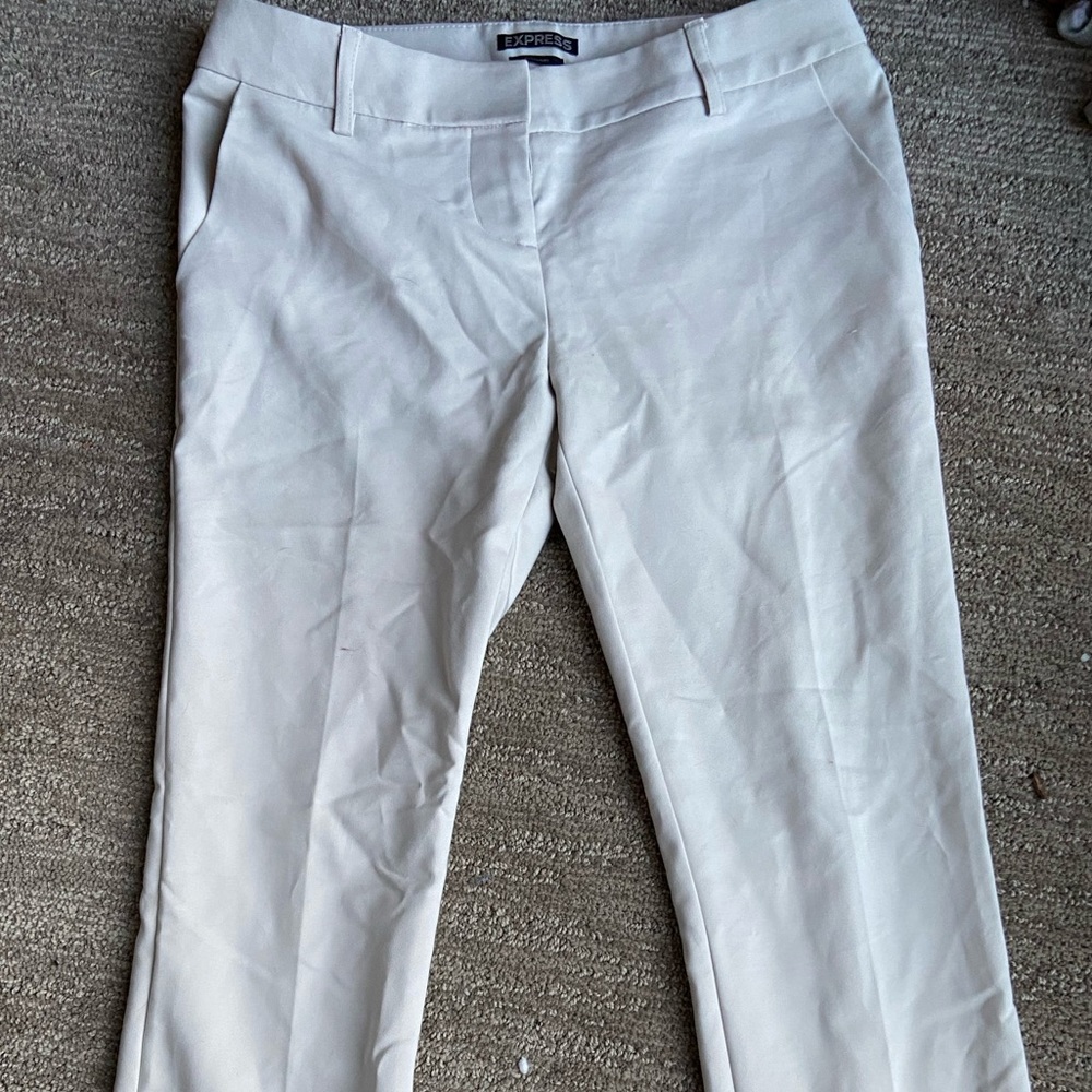 express columnist dress pants